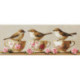 Luca-S, kit Three Dainty Birds (LUCASBU5092)