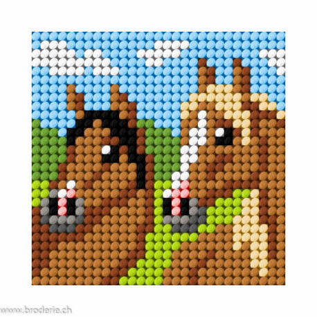 Orchidea, kit enfant chaton chevaux (OR9643)