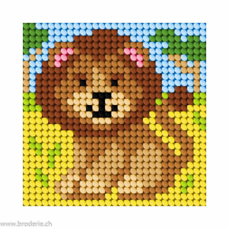 Orchidea, kit enfant lion (OR9650)