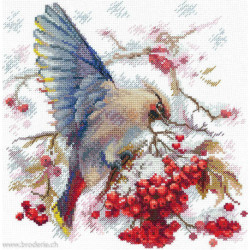 Andriana, kit Waxwing (SANS-72)