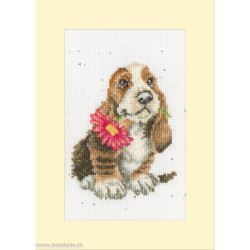 Bothy Threads, kit carte de voeux Especially For You (BOXGC56)