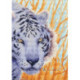 BrilliArt, kit diamant Tiger (MC-092)