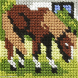 Orchidea, kit enfant cheval (OR9631)