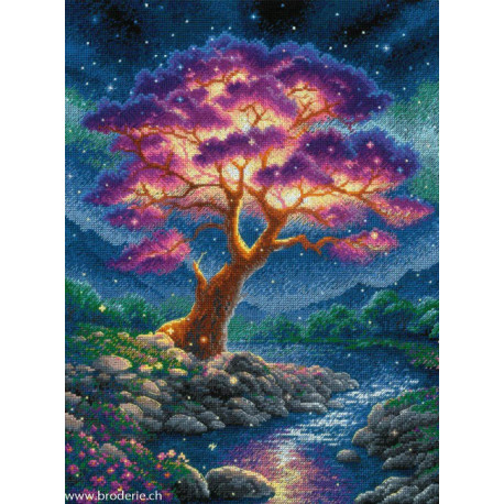 Riolis, kit Mysterious Universe (RI2240)