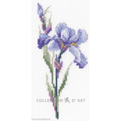 RTO, kit Iris (RTOC449)