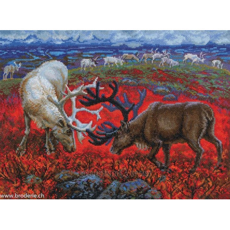 RTO, kit Law of the tundra (RTOM1014)