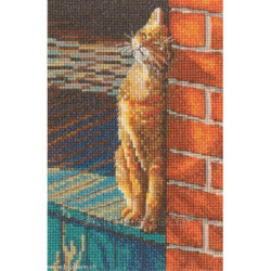 RTO, kit Sunny Grumbler (RTOM1073)