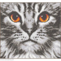 Vervaco, kit Cat close up (PN0205401)