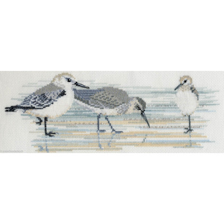 Derwentwater, kit Birds - Waders (DWBB03)
