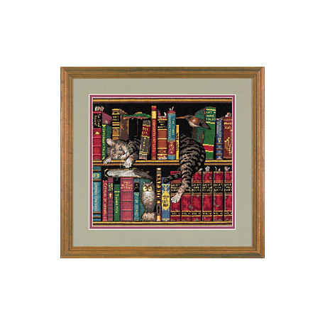 Dimensions, kit Frederick the Literate (DIM35048)