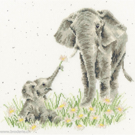 Bothy Threads, kit Bloom And Grow (BOXHD155)