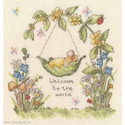 Bothy Threads, kit From Little Acorns (BOXSN1)