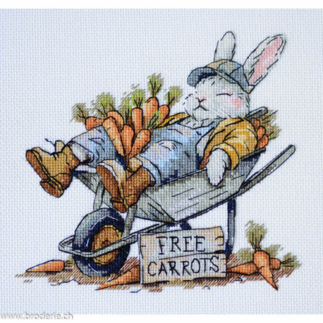 Abris Art, kit - Free carrots (AAH-288)
