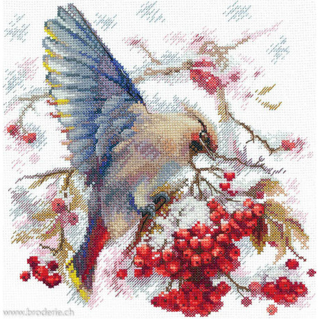 Andriana, kit Waxwing (SANS-72)