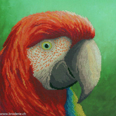 Bothy Threads, kit The Menagerie - Vision (BOXRF14)