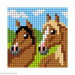 Orchidea, kit enfant chaton chevaux (OR9643)