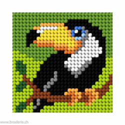 Orchidea, kit enfant chaton toucan (OR9644)