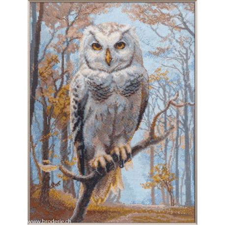 Riolis, kit Wildwood Owl (RIA1016)