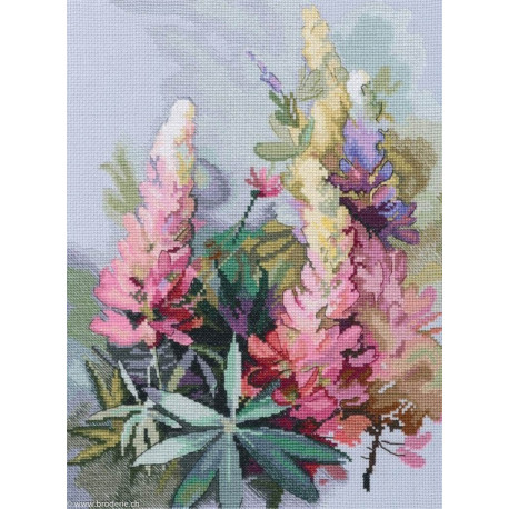 RTO, kit Lupins (RTOM887)