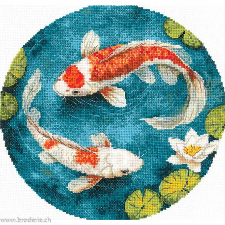 Andriana, kit Carps (SANK-71)