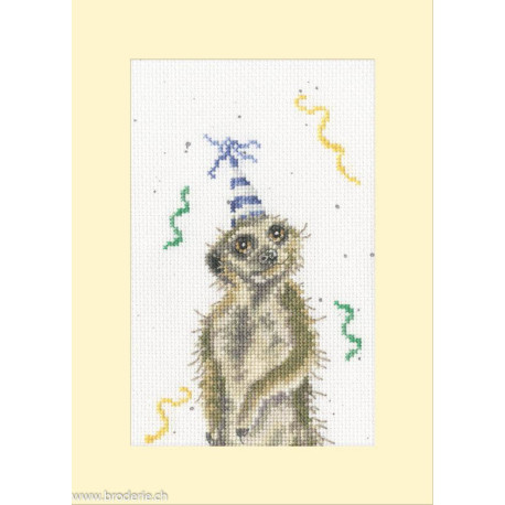 Bothy Threads, kit carte de voeux On The Lookout For A Party (BOXGC54)