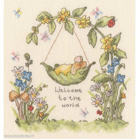 Bothy Threads, kit From Little Acorns (BOXSN1)