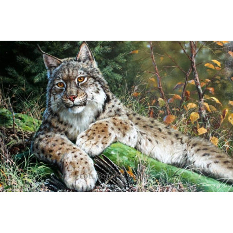 Collection d'Art, kit diamant Lynx (CADE7146)