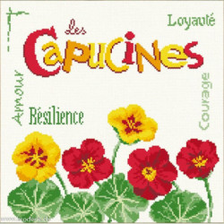 LiliPoints, Grille gourmandise- Les Capucines (J030)