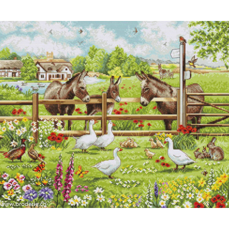 Luca-S, kit Donkeys' Yard (LUCASBU5087)