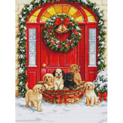 Luca-S, kit Santa’s Delivery (LUCASBU5102)