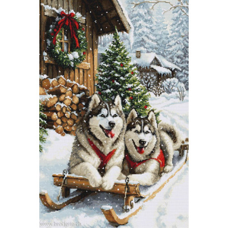 Luca-S, kit The Magic of the Nordic Winter (LUCASB722)