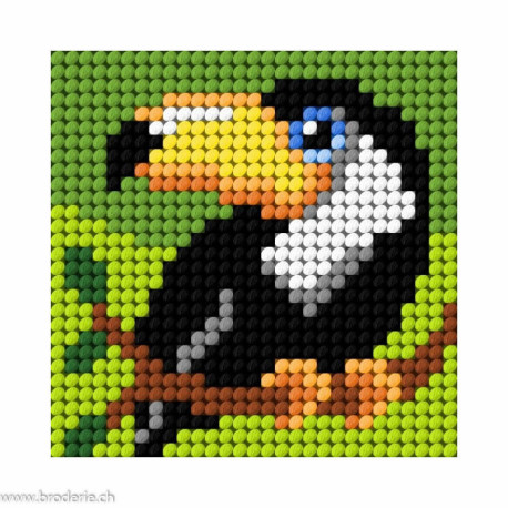 Orchidea, kit enfant chaton toucan (OR9644)