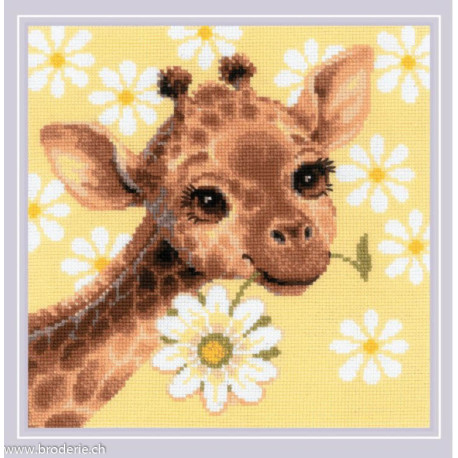 Riolis, kit Panel/Cushion Little Giraffe (RI2318)