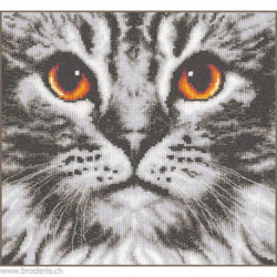 Vervaco, kit Cat close up (PN0205401)