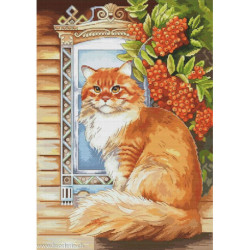 Andriana, kit Ginger cat (SANR-59)