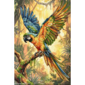 Abris Art, kit perles Colorful Parrot (AAB-970)