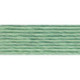 DMC mouliné N° 504 (DMC504)