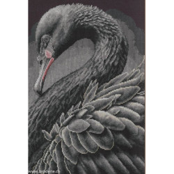 Lanarte, kit au point compté Black swan (LA0216657)