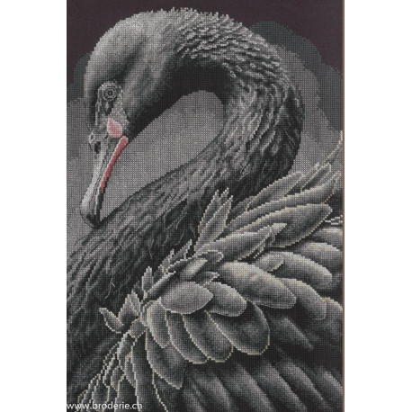 Lanarte, kit au point compté Black swan (LA0216657)