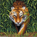 BrilliArt, kit diamant Tiger in the Jungle (MC-084)