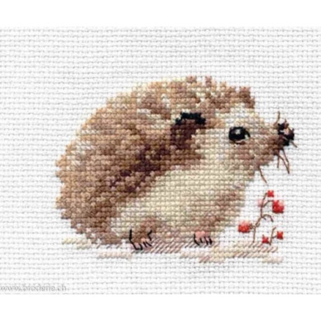 Riolis, kit Hedgehog (RIA171)