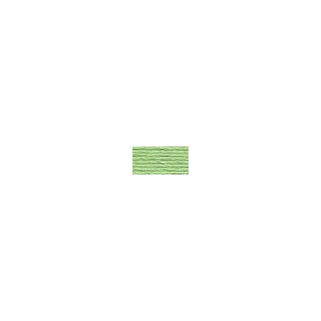 DMC mouliné N° 164 (DMC164)