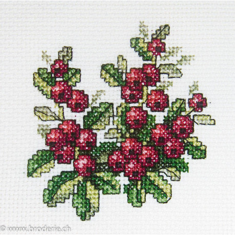 RTO, kit "Cowberry" (RTOH249)
