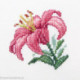 RTO, kit "Pink lily" (RTOH247)