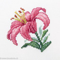 RTO, kit "Pink lily" (RTOH247)