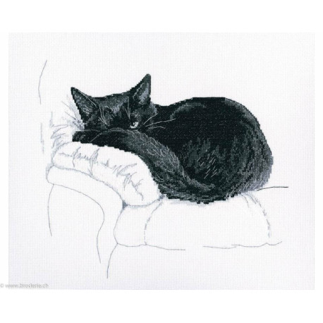 RTO, kit Among black cats (RTOM668)