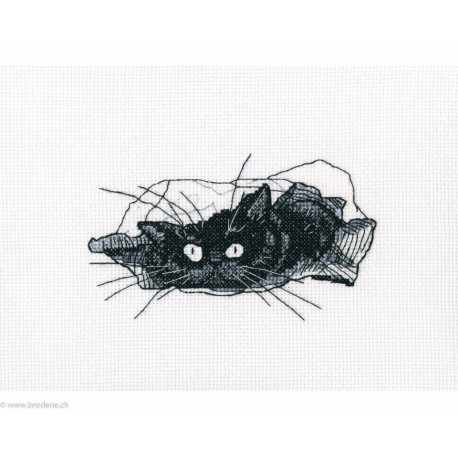 RTO, kit Among black cats (RTOM667)