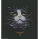 RTO, kit Cats Favorite (RTOM576)
