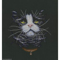 RTO, kit Cats Favorite (RTOM576)
