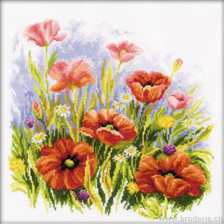 RTO, kit champs de coquelicots (RTOM140)
